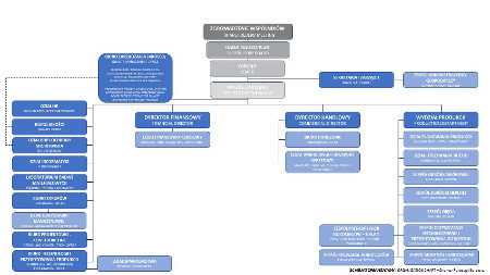 Organisational structure